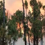 شانگلہ کے جنگلات میں آگے لگنے سے 4افراد ہلاک ہوگئے