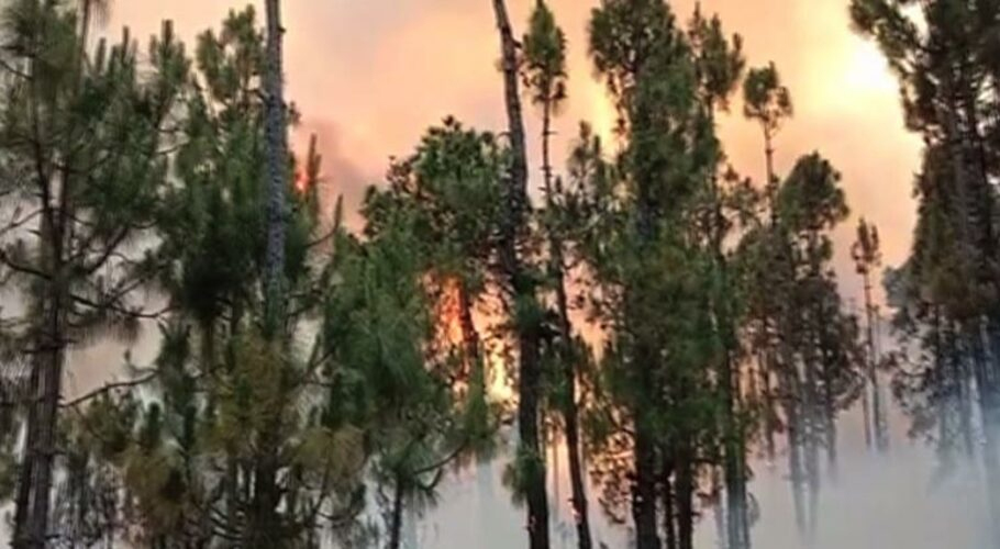 شانگلہ کے جنگلات میں آگے لگنے سے 4افراد ہلاک ہوگئے