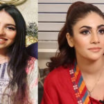 دانیہ کے خلاف ثبوت ایف آئی اے سائبر کرائم کے حوالے کردیے، بیٹی عامر لیاقت