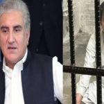 شہباز گل نے کچھ جملے ایسے کہے جو نہیں کہنے چاہیے تھے، شاہ محمود قریشی