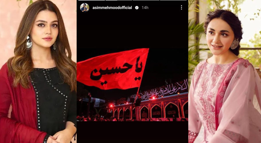 تصویری تجزیہ، شوبز ستاروں کا شہدائے کربلا کو خراجِ تحسین