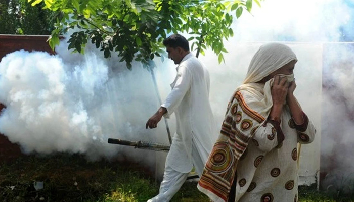 سندھ میں ڈینگی وائرس بے قابو، 24 گھنٹوں میں مزید 113کیسز رپورٹ