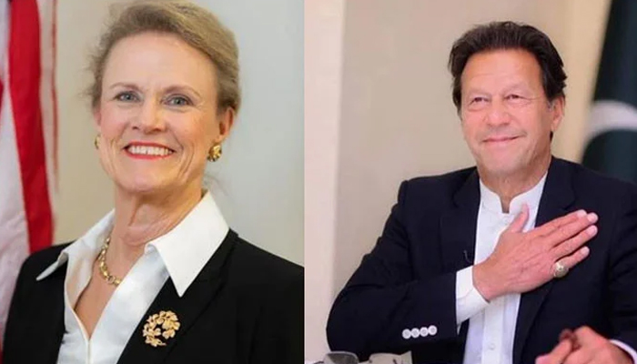 عمران خان نے رابن رافیل سے ملاقات کی تصدیق کردی