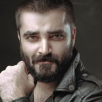 فلموں میں غیر اخلاقی مناظر دکھائے جانے کی وجہ سے کام نہیں کرسکتا۔ حمزہ علی عباسی