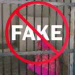 ترکی نے جھوٹی افواہ پھیلانے والوں کیلئے تین سال قید کی سزا مقرر کردی