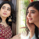 بھارت کو سبق سکھانے کے لیے قومی ٹیم کو بھارت جانا چاہئے، سحر خان
