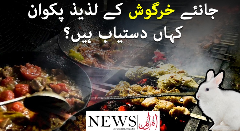 پروٹین سے بھرپور خرگوش کے لذیذ پکوان ایک بار ضرور ٹرائی کریں