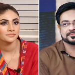 عامر لیاقت کی اہلیہ دانیہ شاہ کو پولیس نے گرفتار کرلیا