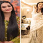 میرا دل یہ پکارے آجا، پاکستانی ٹک ٹاکر کا رقص مادھوری نے بھی کاپی کرلیا