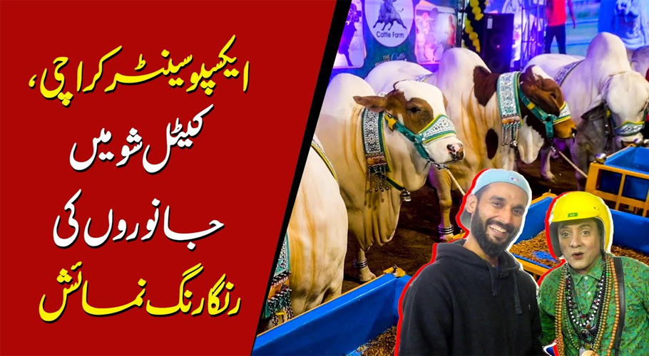 ایکسپو سینٹر کراچی میں ڈیلفا کیٹل شو کا آغاز، جانوروں کی رنگا رنگ نمائش