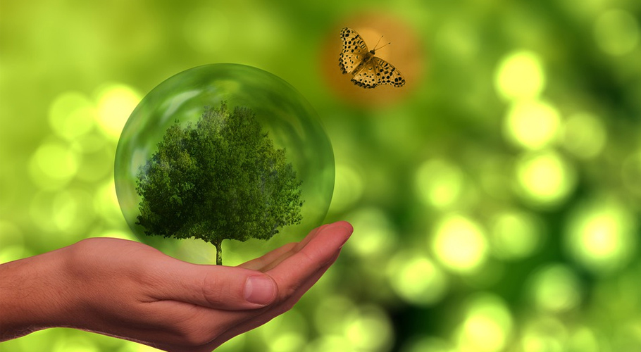 ارتھ آور کیا ہے اور یہ کیوں منایا جاتا ہے؟