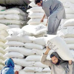 بحران میں اضافے سے کراچی میں آٹے کی قیمت 200 روپے فی کلو تک پہنچ سکتی ہے