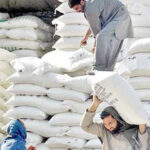گندم کی قلت کے باعث پنجاب میں آٹے کی قیمت میں 5 روپے فی کلو اضافہ