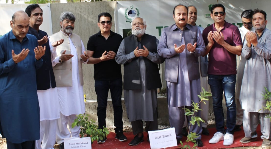 سرسبز پاکستان کے خواب کو انفرادی کوشش سے پورا کریں، رانا مشہود