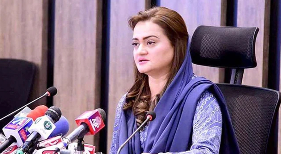 صحافیوں کے ساتھ مل کر آزادی اظہار رائے کی جنگ لڑی، مریم اورنگزیب