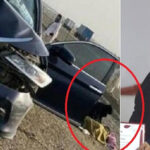 Female Saudi nurse saves several lives after a traffic accident