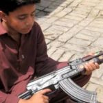اسلحے کی نمائش پر پابندی