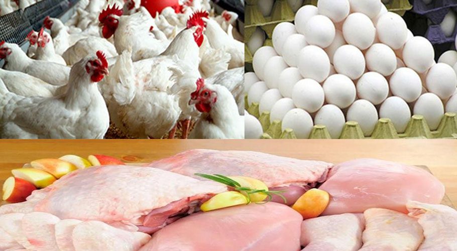مرغی کے گوشت اور انڈوں کی قیمت میں بڑا اضافہ