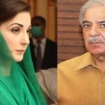مریم نواز یا شہباز شریف: پنجاب کا وزیر اعلیٰ کون ہوگا؟