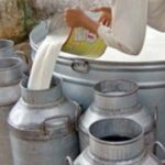Rs300 per litre?: Milk Price Hike Demand Rejected by Sindh Govt