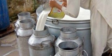 Rs300 per litre?: Milk Price Hike Demand Rejected by Sindh Govt