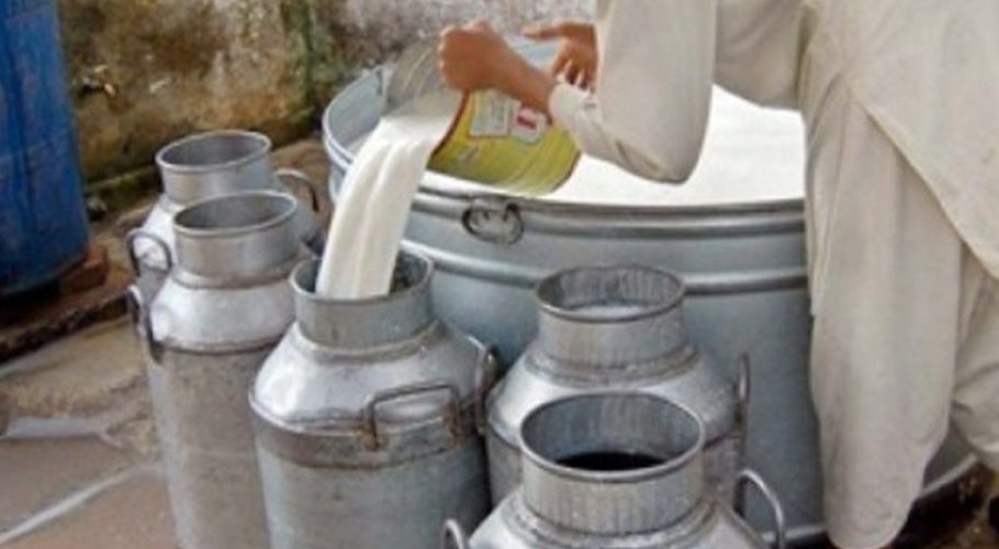Rs300 per litre?: Milk Price Hike Demand Rejected by Sindh Govt