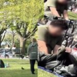 New York couple crosses all limits openly in a park, video goes viral