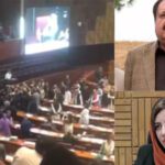 طارق بشیر چیمہ