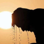 Heatwave persists in Karachi today