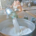 Milk Prices to Hit Rs. 300 Per Liter After Failed Negotiations
