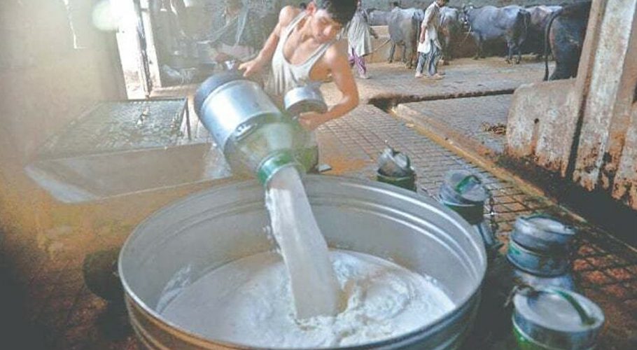 Milk Prices to Hit Rs. 300 Per Liter After Failed Negotiations
