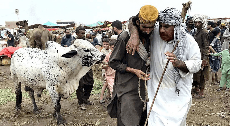 تعطیلات کا اعلان