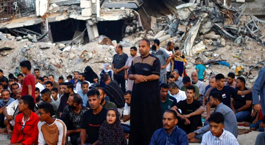 How to send Qurbani meat to Gaza?
