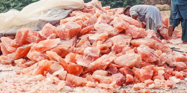 Is India really earning billions of dollars from Pakistan’s pink salt?