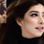 مریم نفیس