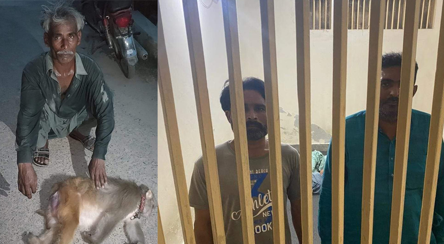 بندریا رانو تشدد کے بعد قتل