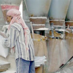 Flour prices down in Karachi