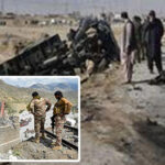 دہشت گردی