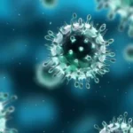 Chikungunya outbreak in Pakistan: What is it and how does it spread?