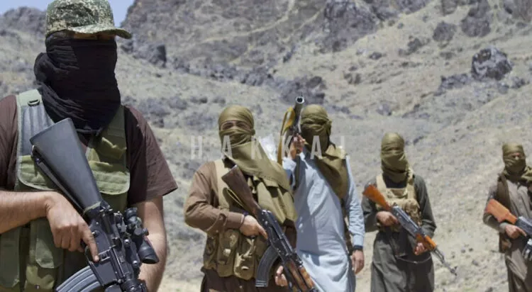 Why did Baloch Liberation Army attack Chinese
