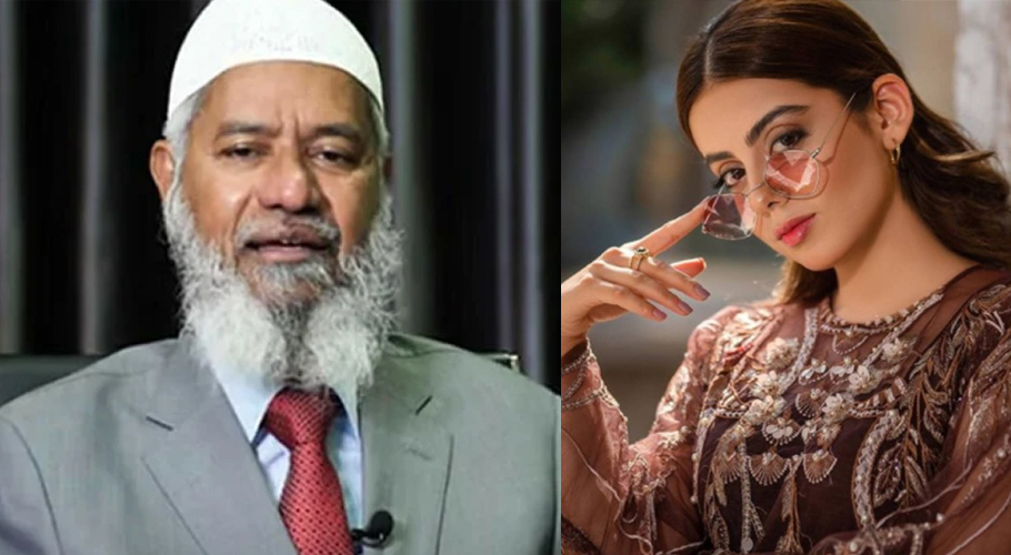ڈاکٹر ذاکر نائیک
