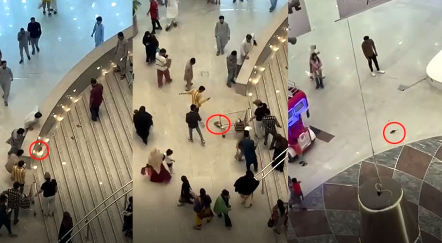 Karachi mall erupts into chaos as rodent runs wild