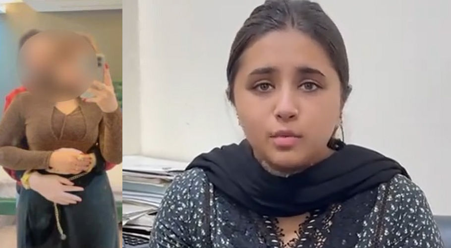 مناہل ملک