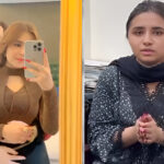 مناہل ملک
