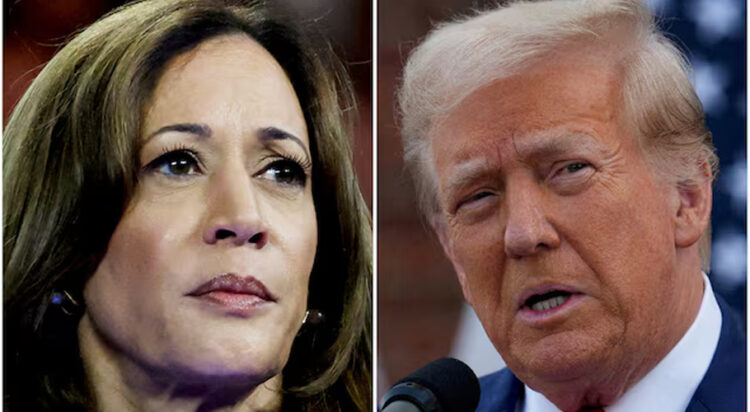 Trump vs Harris: Who is winning US presidential election as per latest polls?
