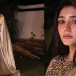 Durefishan Saleem's Stunning Photos in a Golden Saree Go Viral