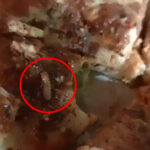 Man Discovers Live Worms in Pizza, Shocking Video Goes Viral