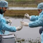 Is bird flu spreading in the US again?