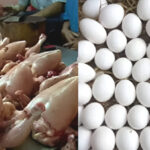 Cold weather drives up chicken meat and egg prices in Punjab