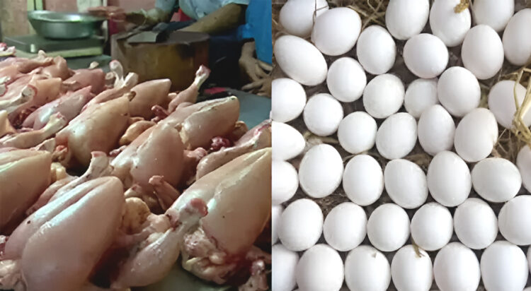 Cold weather drives up chicken meat and egg prices in Punjab